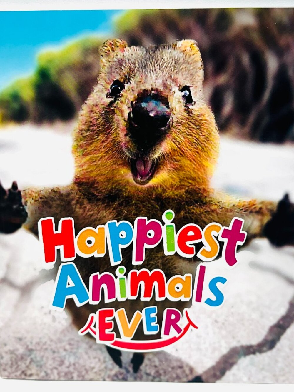 Happiest Animals Ever Paperback Book by Nancy Dickmann BRAND NEW